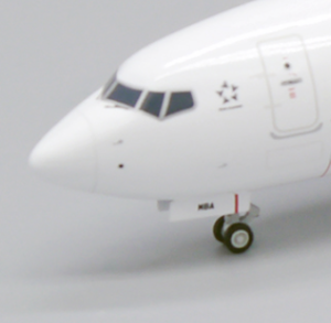 EW238M006 B737 MAX 8